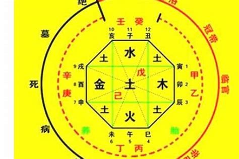 免費喜用神|生辰八字算命、五行喜用神查詢（免費測算）